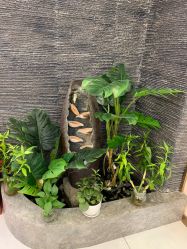 -芳朵美容养生SPA