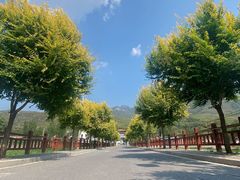 -龙门涧景区