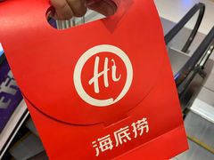 -海底捞火锅(公益西桥店)