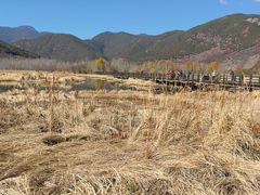 -泸沽湖国家级风景名胜区走婚桥