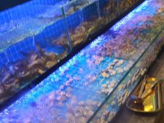 -透明思烤·自助烤肉海鲜火锅(东部星悦天地店)