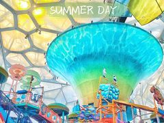 -水立方嬉水乐园