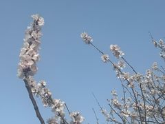 -迎泽公园