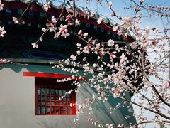 -居庸关长城