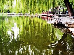 -玲珑塔公园