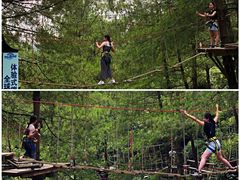 -梦幻奥陶纪景区