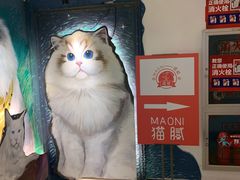 -猫腻·猫咖·撸猫馆(星光大道店)