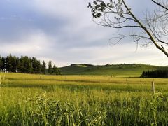 -塞罕坝国家级自然保护区