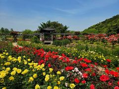 -龙寺生态园