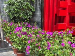 -黔蘑菇四季餐厅(观山湖店)