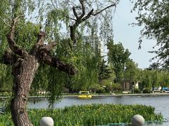 -莱西月湖公园