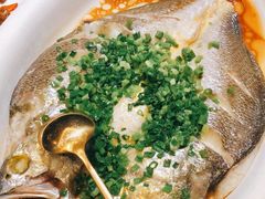 清蒸东海大黄鱼-彩虹之约•淮扬家宴(亚运村店)