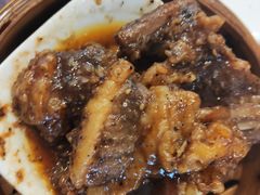 -金龙寨(龙城路店)