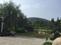 -习家池