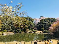 -东京国立博物馆