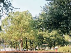 -白塘生态植物园