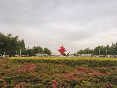 -五四广场
