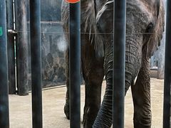 -鄂尔多斯野生动物园