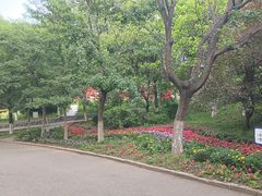 -望溪公园