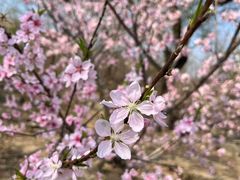 -白水寺森林公园