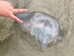 -石螺口海滩