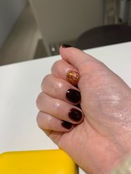 -BELLAREAL新美社