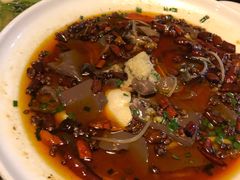 -眼镜哥浦江夜宵大本营