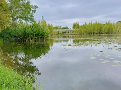 -白鹭湾湿地公园