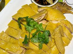 -新高记·粤菜·湛江鸡(南头古城店)