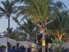 -精酿农场Brew Farm·沙漠绿洲餐厅