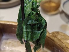 -巴奴毛肚火锅概念餐厅