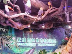 -正佳雨林生态植物园