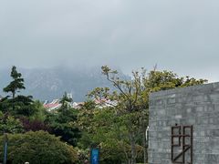-青岛朗艺美术馆·海景咖啡