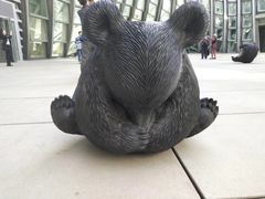 -凤凰中心