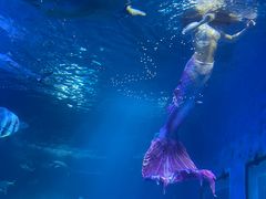 -太平洋海底世界