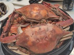 -半岛听涛蒸汽海鲜自助(K11店)