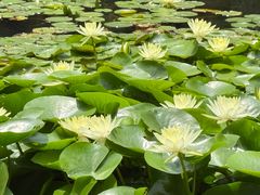 -云溪植物园