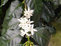 -优游吧斯邹族文化部落