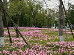 -白鹭湾湿地公园
