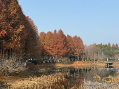 -阳澄湖半岛旅游度假区