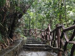 -海南热带雨林国家公园吊罗山景区