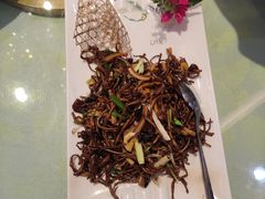 -老山东·山东菜(鲁菜名店)