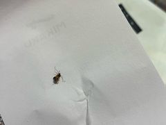 -MIKAKU(万达广场上海宝山店)