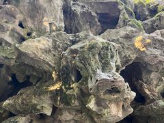 -东山雕花楼
