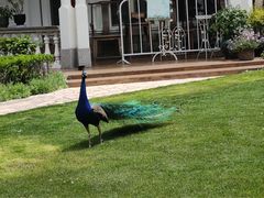 -金庭庄园酒店-停车场