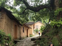 -杨家堂村
