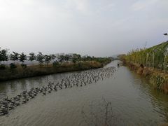 -米果果小镇