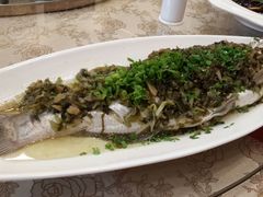 雪菜蒸白水鱼-浦江餐饮·上海菜馆(五四路店)