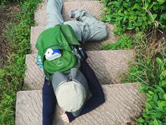 -十里琅珰