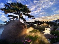 -罗红摄影艺术馆